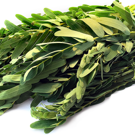 Agathikeerai (hummingbird) 300g
