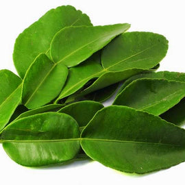 Daun Limau purut (kaffir leaf)