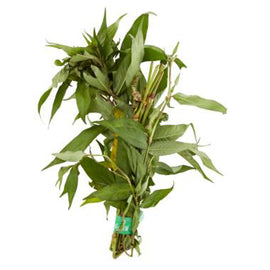 Daun kesum (laksa leaf) 50g