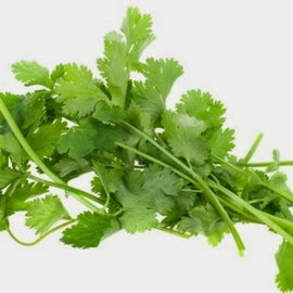 Daun ketumbar (coriander/cilantro) 50g