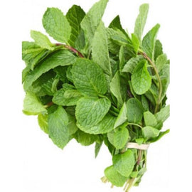 Daun pudina (mint) 50g