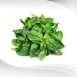 Daun selasai (Basil leaf) 50g
