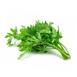Daun sup (celery) 100g