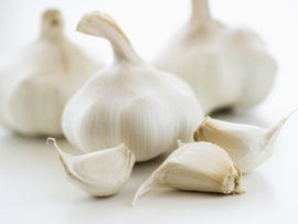 Garlic (China)