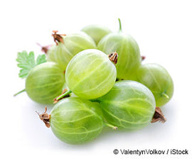Gooseberry 5 pc