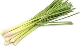 Lemon grass (90-100g)