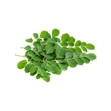 Murunggakirai (moringa leaves) 300g