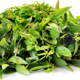 Ponnangani (dwarf copper leaf) 500g