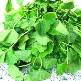Vallarai (indian pennywort) 500g