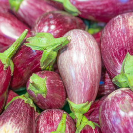 Brinjal round 500g